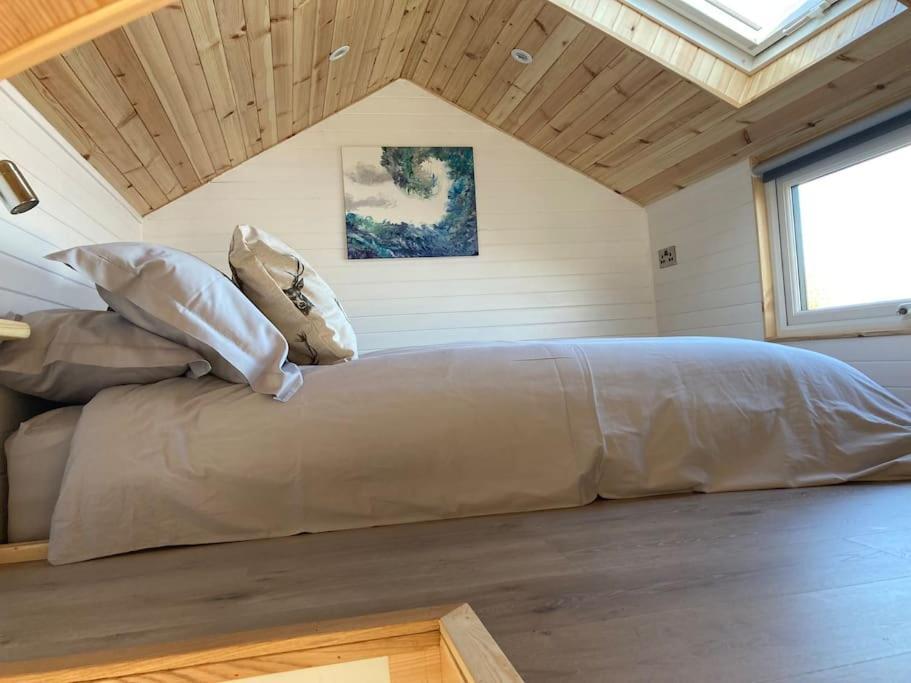 The Ashmere Tiny House Coldingham Exterior foto